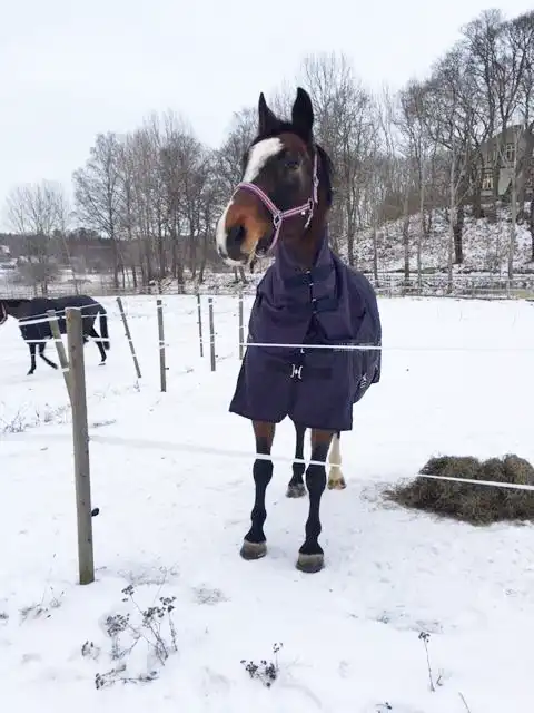 Stallet, vinter, Eggeby Gård Stallet, vinter, Eggeby Gård