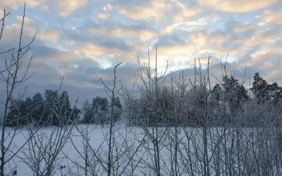 Järva Sitter Ihop, öppen meditationscirkel i vår