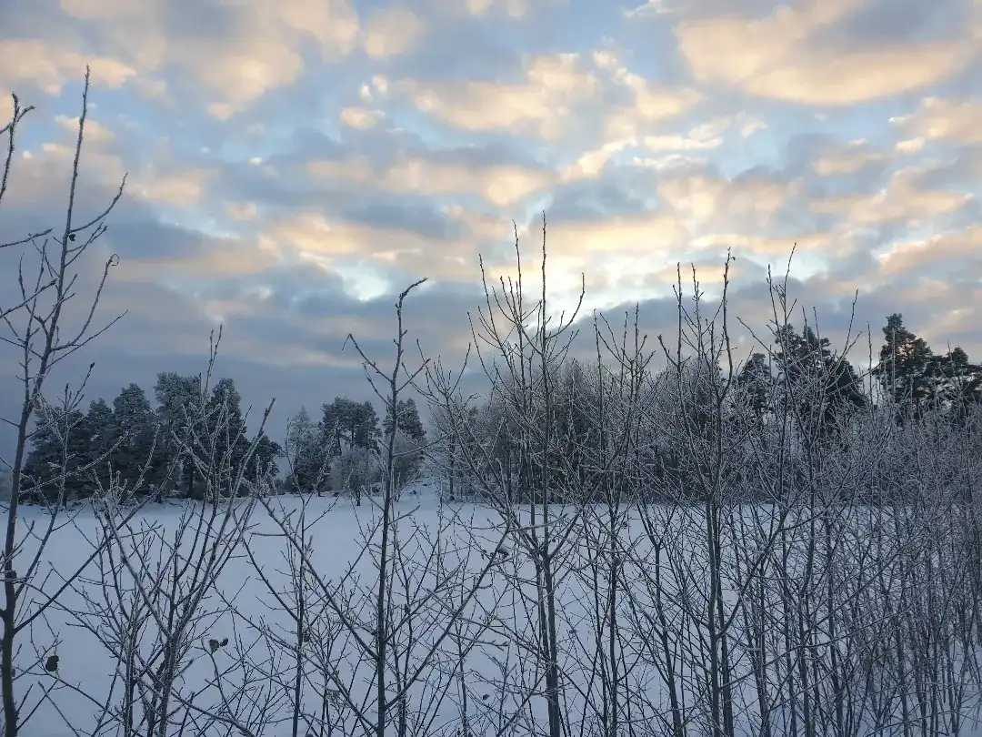 Järva Sitter Ihop är en öppen meditations cirkel på Eggeby Gård i Studion där vi utforskar tystnad och stillhet tillsammans