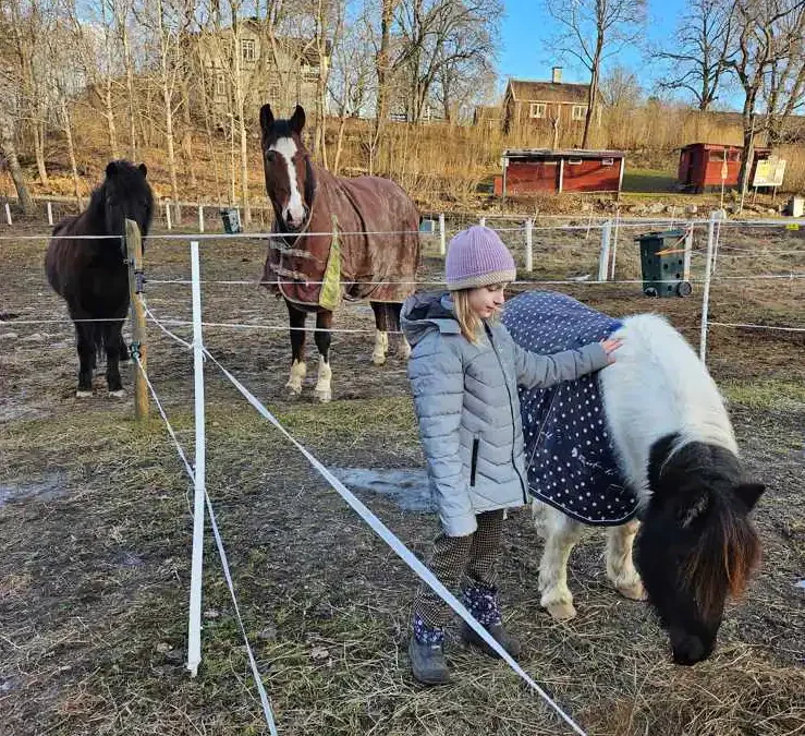 ”Prova på” – ridning på Eggeby Stall